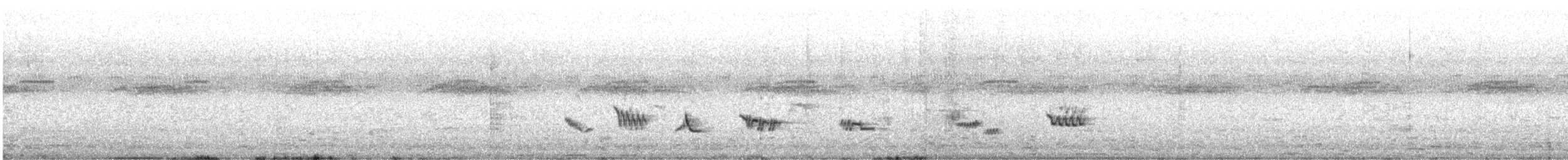 Creamy-bellied Thrush - ML646080251