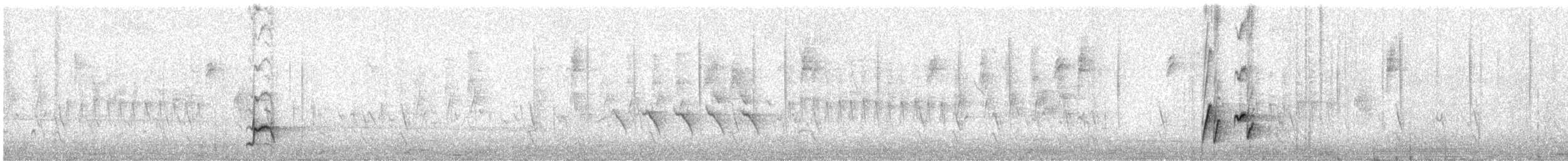 Kuitlakotxe urdina - ML646080990