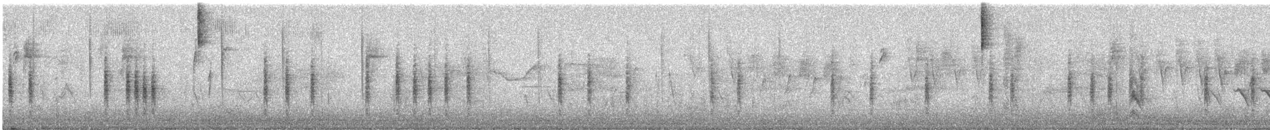 Chingolo Pechinegro - ML646081015