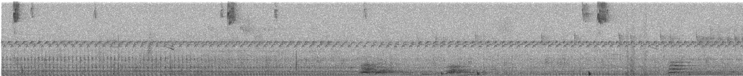 Clorospingo Oscuro - ML646081053