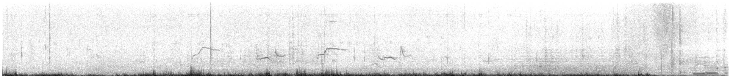 Zorzal Hormiguero Meridional - ML646081121