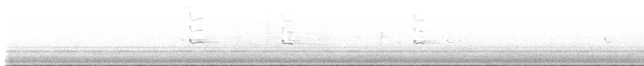 Chorlitejo Culirrojo - ML646081174