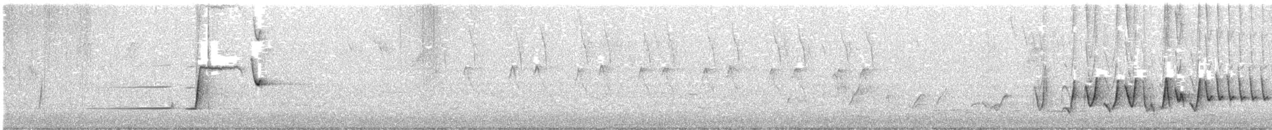 Silbador Rufo - ML646081205