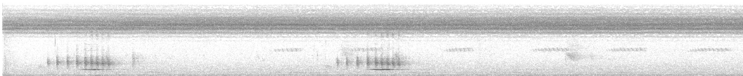 Bubú Bicolor - ML646081240