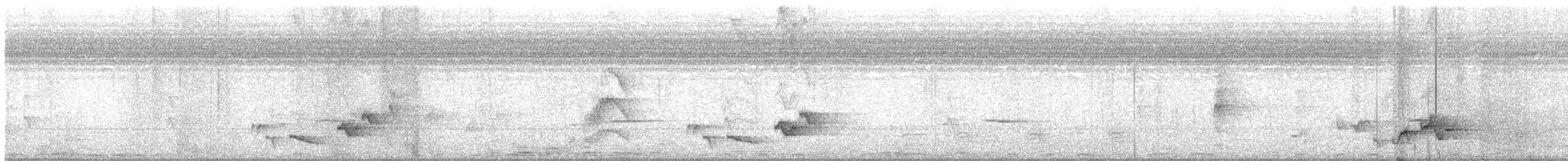 Cosifa de Heuglin - ML646081456