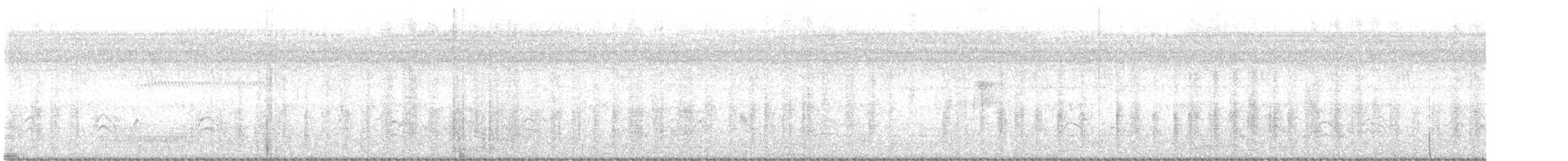 Barbudo Acollarado - ML646081569