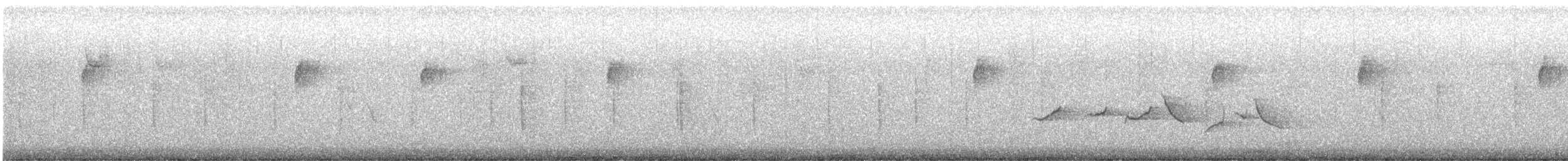 Chingolo Zorruno - ML646081844