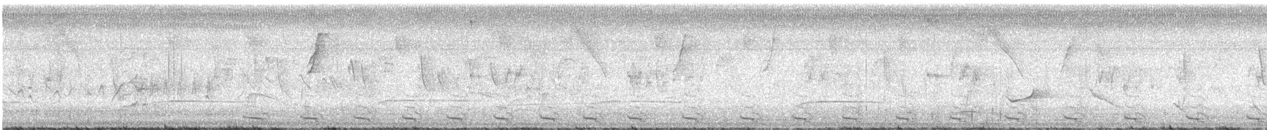 Dwarf Cuckoo - ML646082282