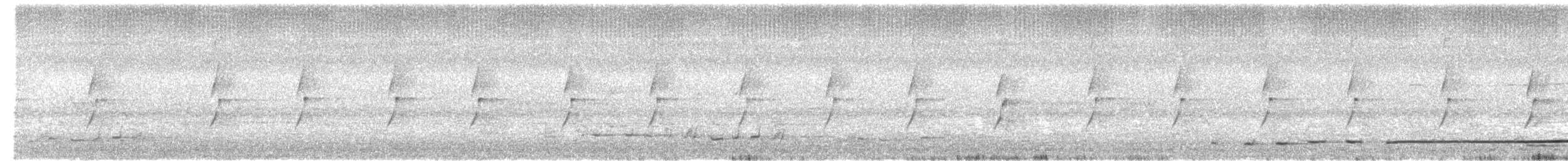 Eastern Whipbird - ML646082504