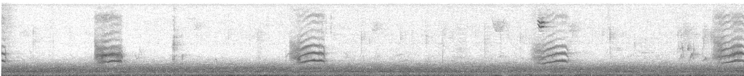 Spotted Towhee - ML646082711