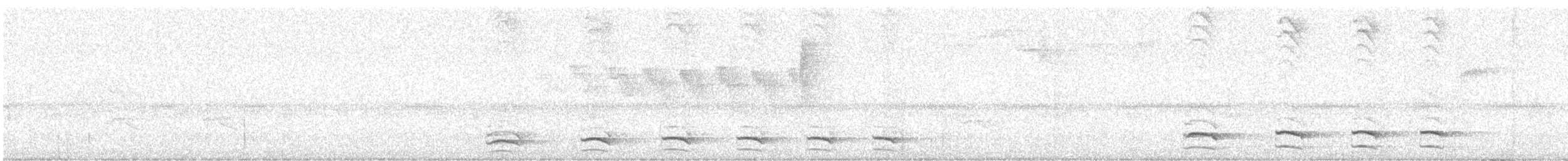 Uniform Antshrike - ML646082929