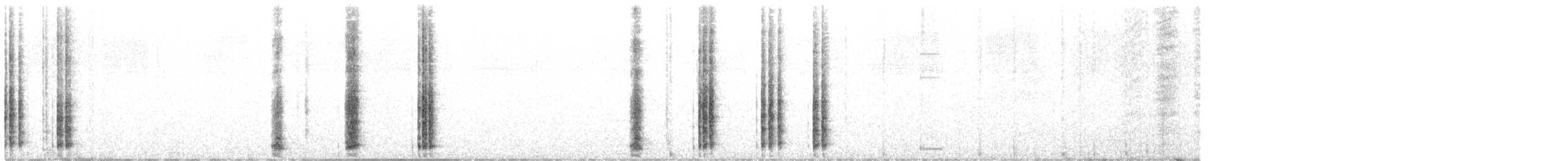 White-quilled Bustard - ML646082942