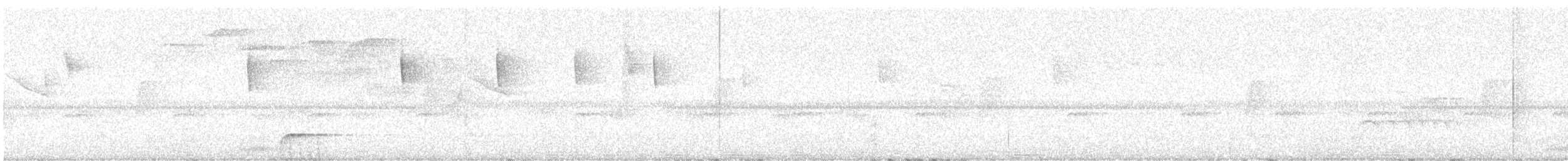 Cucarachero Bigotudo Montano - ML646083357