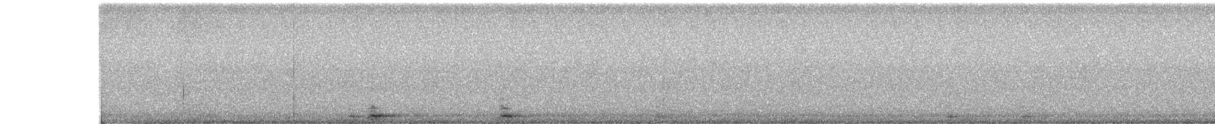 Trumpeter Swan - ML646083389