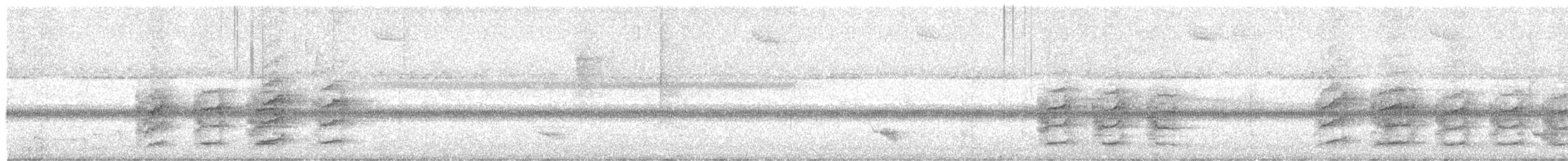 Pale-bellied Tyrant-Manakin - ML646084115