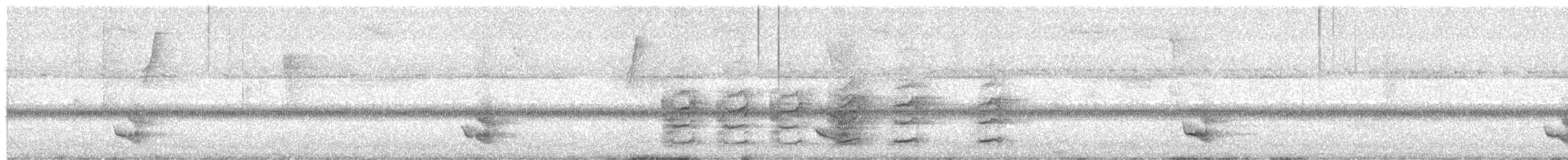 Pale-bellied Tyrant-Manakin - ML646084116