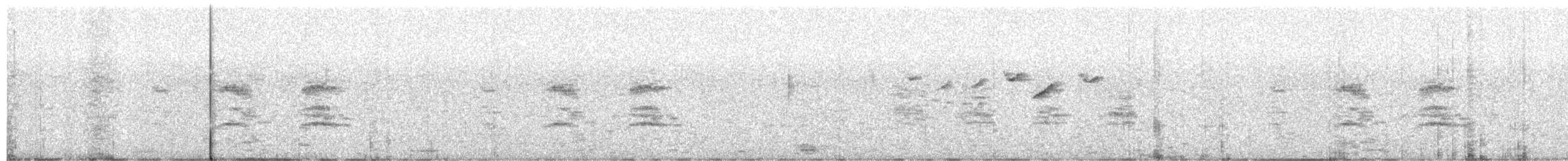 cacique sp. - ML646084915