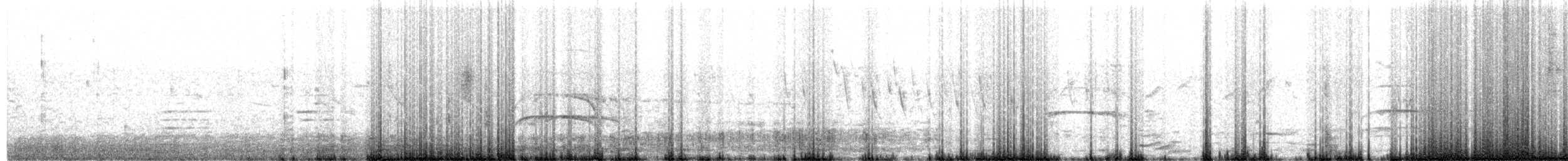 Gray-hooded Attila - ML646085230