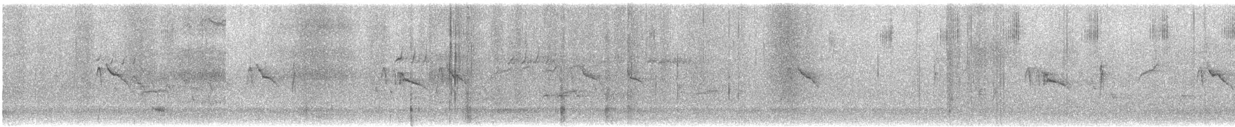 Чёрный фиби - ML646085594