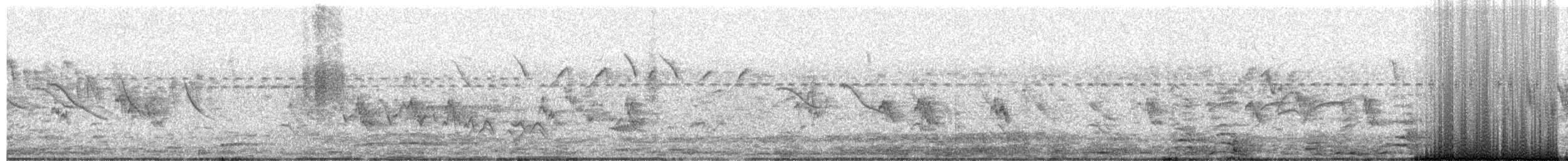 Ошейниковый лесной сокол - ML646085634