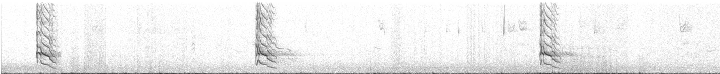 Шилоклювый дятел [группа cafer] - ML646085819