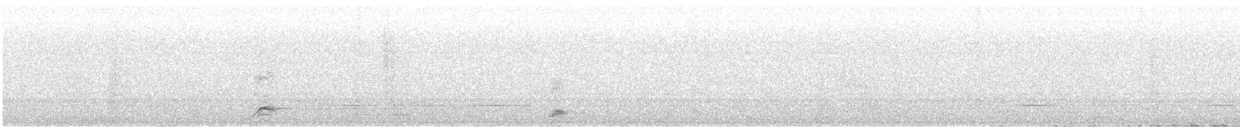 Black-crowned Night Heron - ML646086069