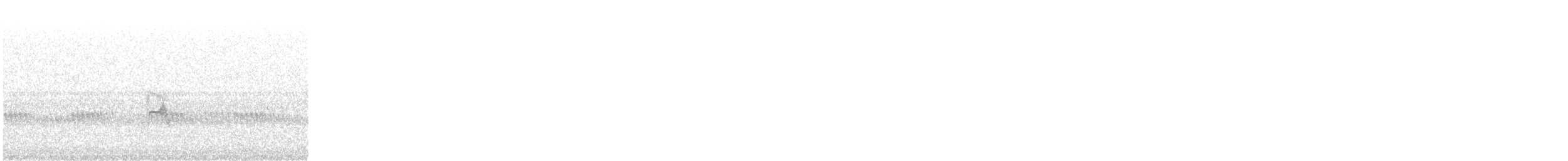 passerine sp. - ML646086230