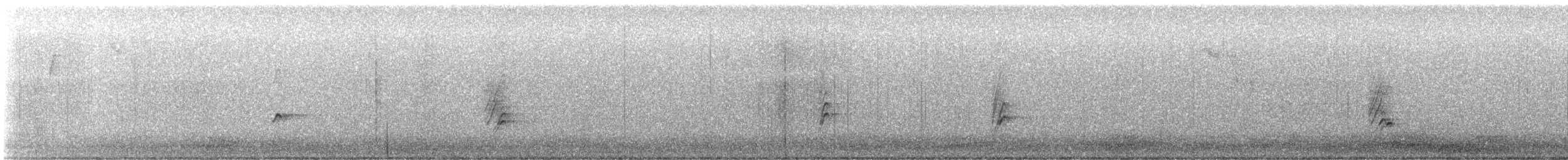 House Finch - ML646086232