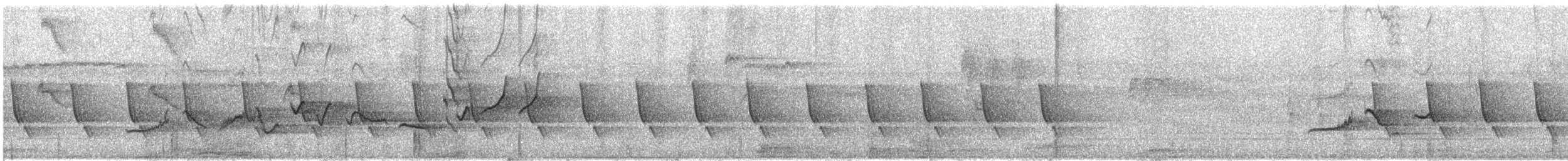 langstjertskredderfugl - ML646087182