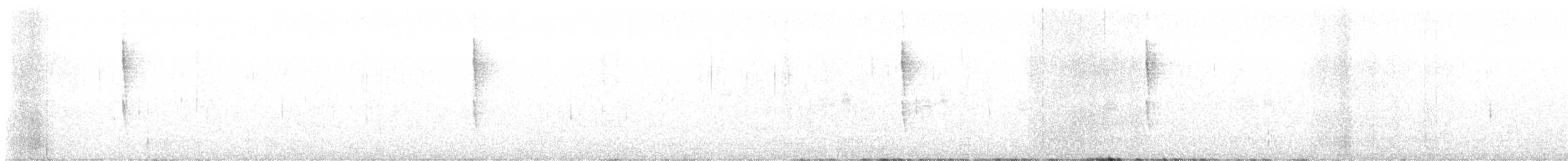 Pacific Wren - ML646088020
