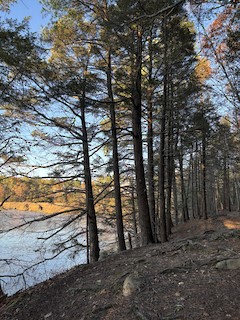 Adams Point WMA, Durham, Strafford, New Hampshire, United States ...