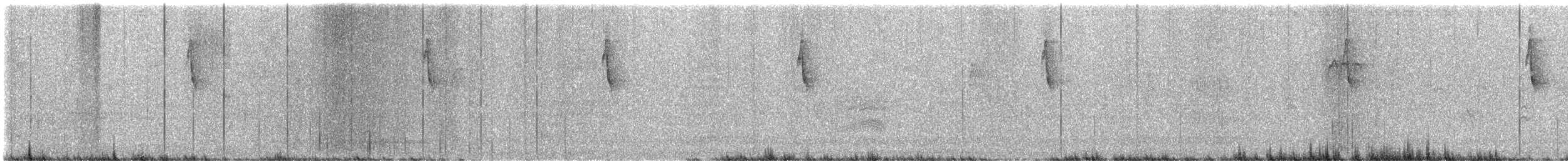 Западный пиви - ML646088166