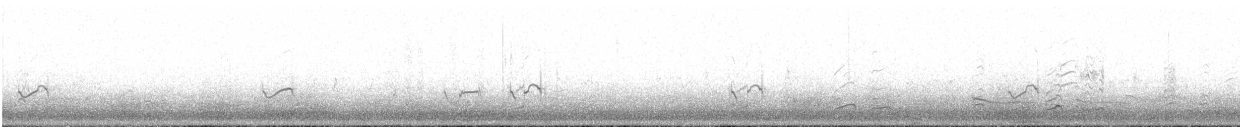 Semipalmated Plover - ML646088543