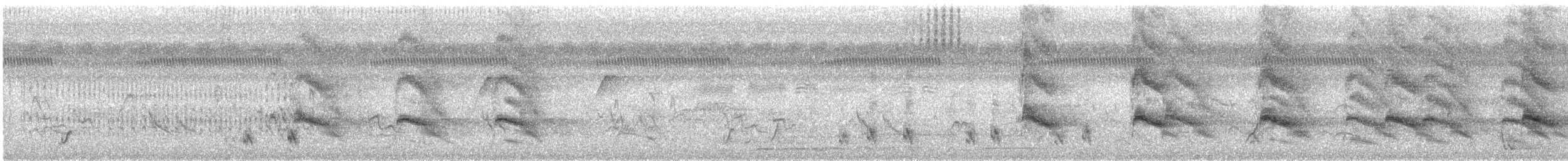 Violaceous Jay - ML646088611