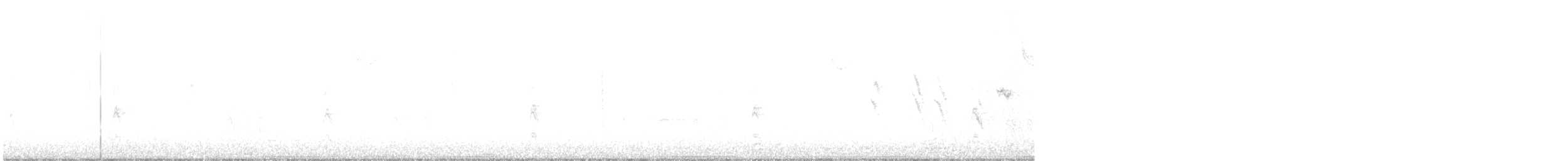 Passerellidae sp. - ML646088785