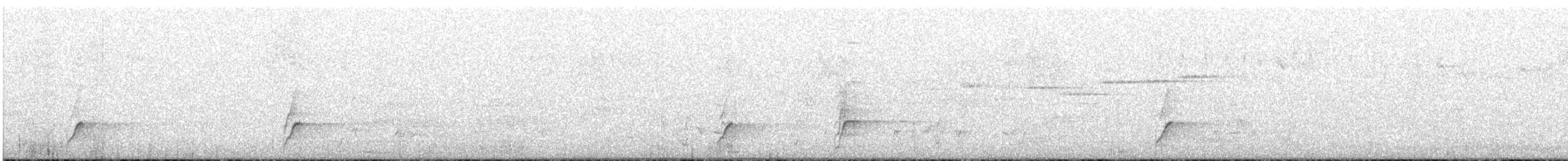 rosela Pennantova (ssp. adelaidae/subadelaidae) - ML646088809