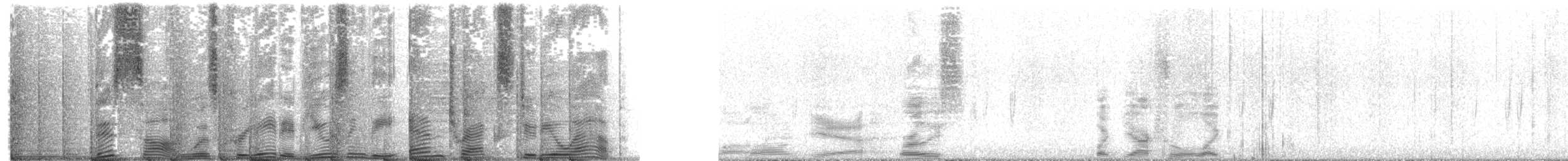 Red Crossbill (Douglas-fir or type 4) - ML646088866