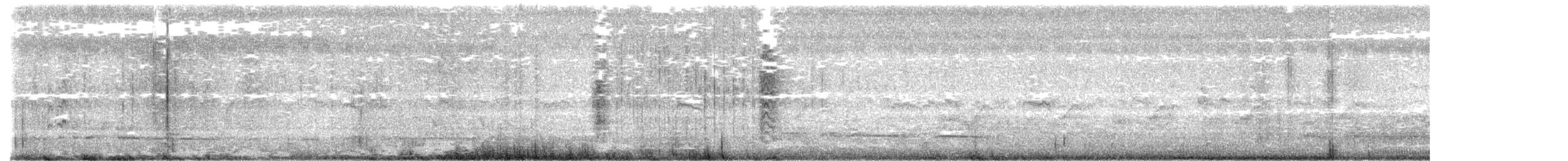 Beccaccino stenuro - ML646089392