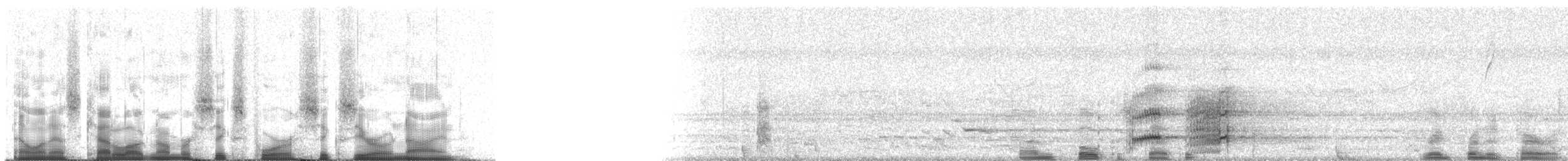 Amazona Frentirroja (autumnalis/salvini) - ML64609
