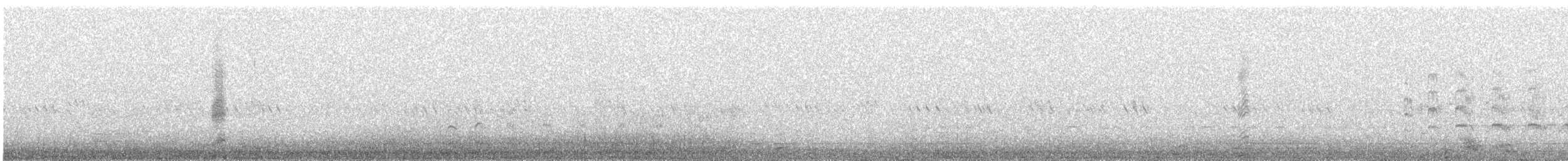 Black-crowned Night Heron - ML646091123