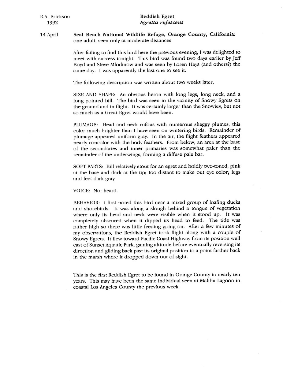 dansehegre - ML646091487