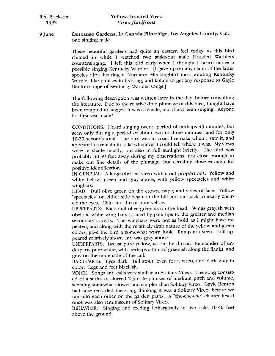 zelenáček žlutoprsý - ML646091590