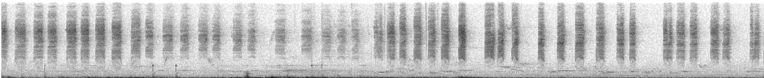 Brown Thornbill - ML646091591