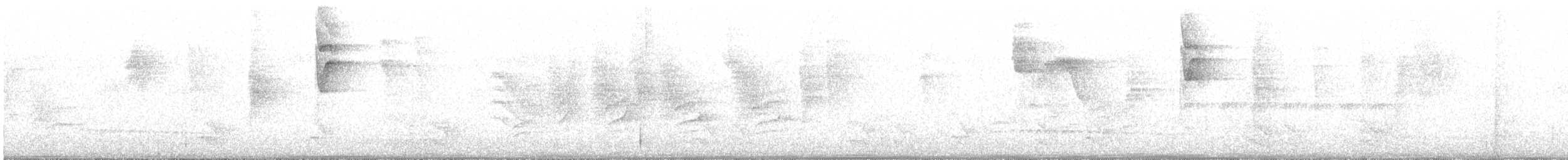 Plain Antvireo - ML646091624