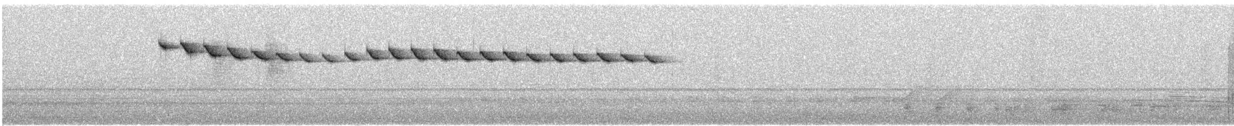 Pin-tailed Manakin - ML646091660