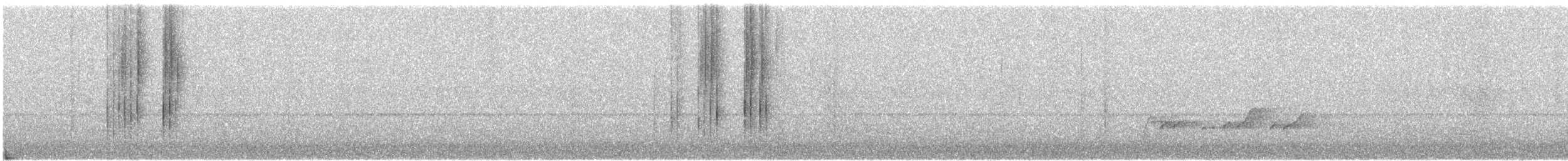Pin-tailed Manakin - ML646091661