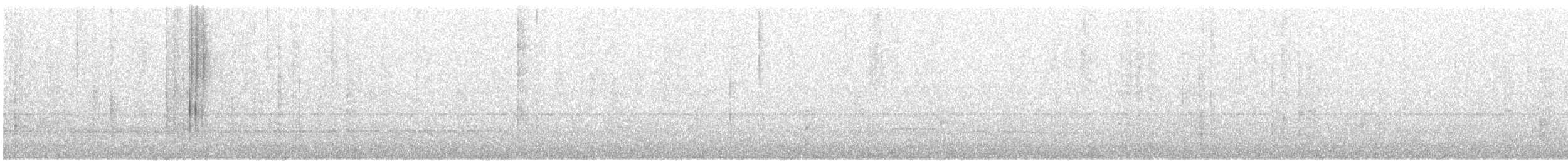 Pin-tailed Manakin - ML646091674