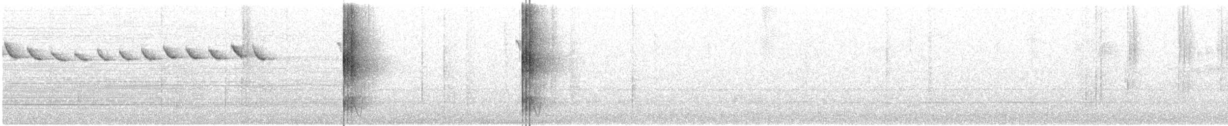 Pin-tailed Manakin - ML646091678