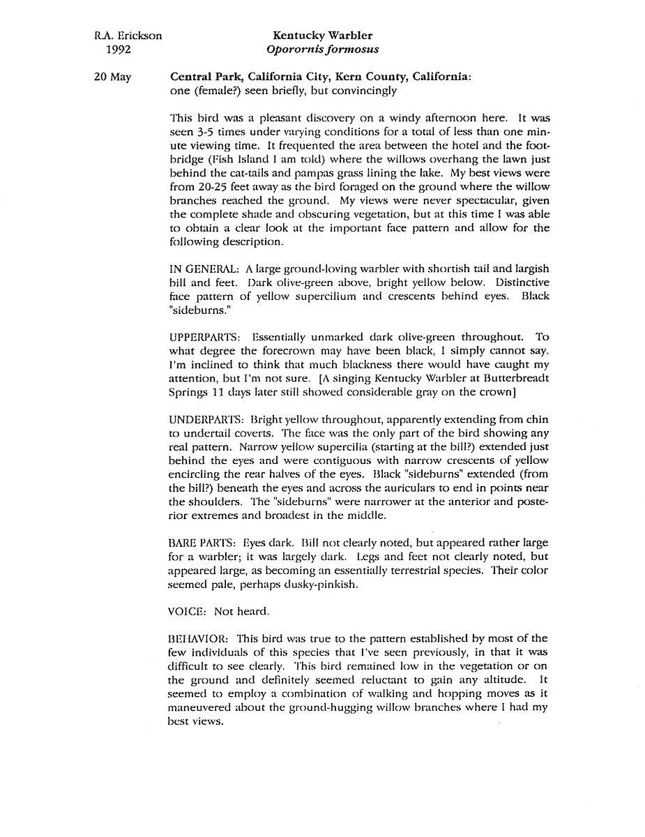 Kentucky Warbler - ML646091868