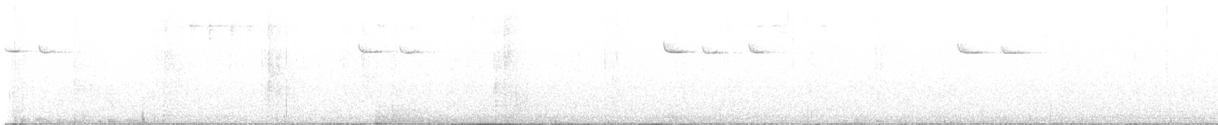 Brown Creeper - ML646092236